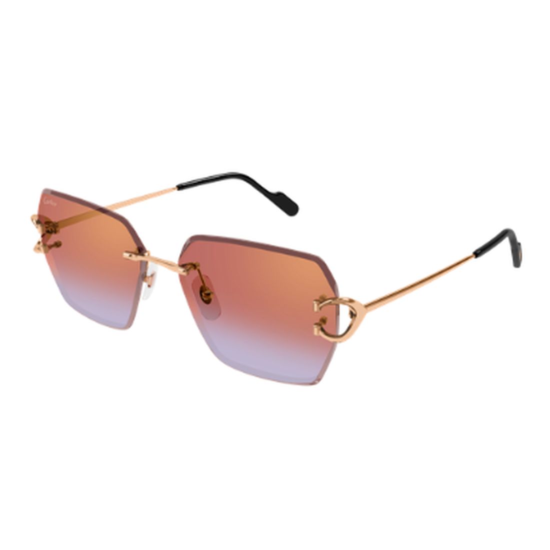 CARTIER - CT0466S-005