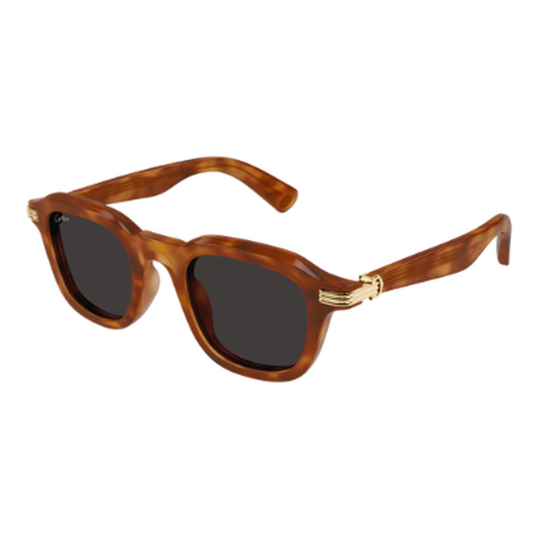 CARTIER - CT0536S-006