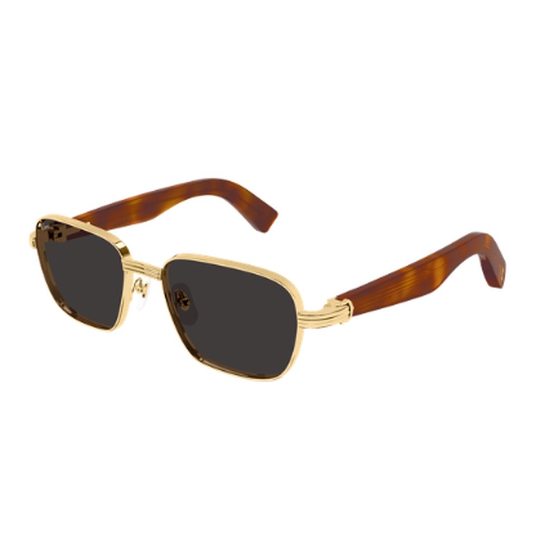 CARTIER - CT0538S-011