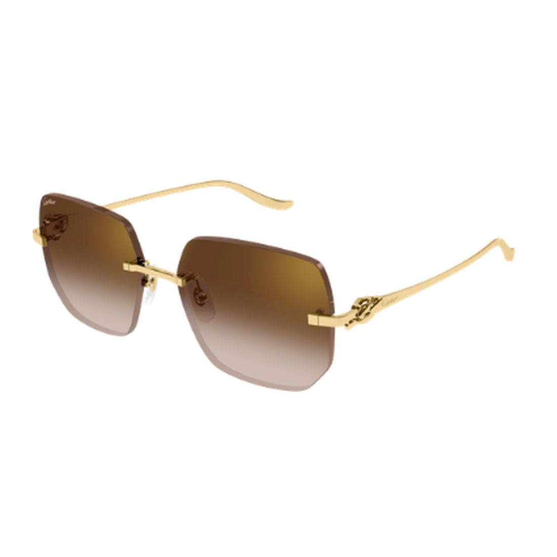 CARTIER - CT0549S-005