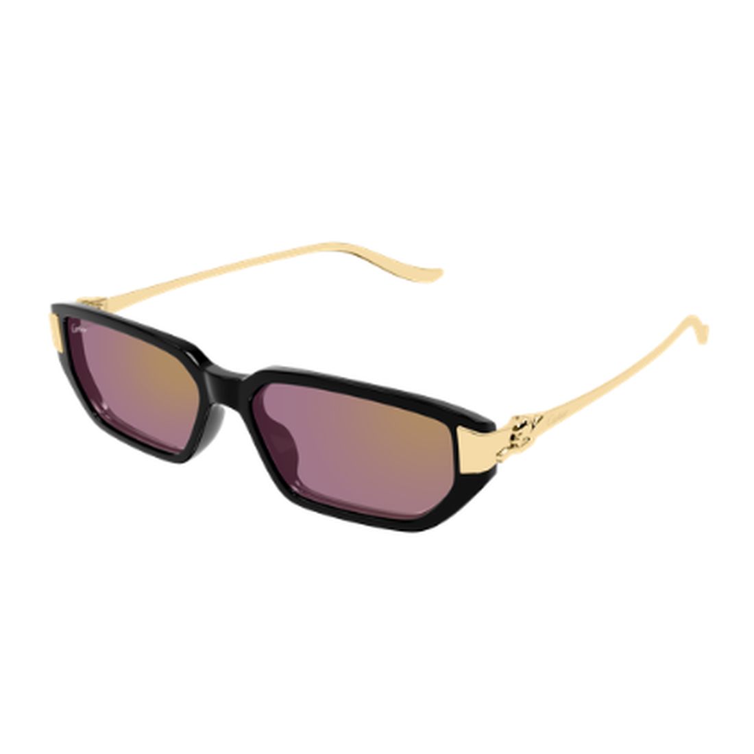 CARTIER - CT0674S-004