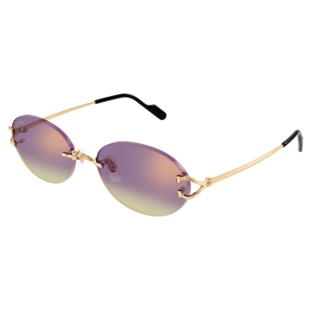 CARTIER - CT0551S - 006 - PARIS LUNETIER