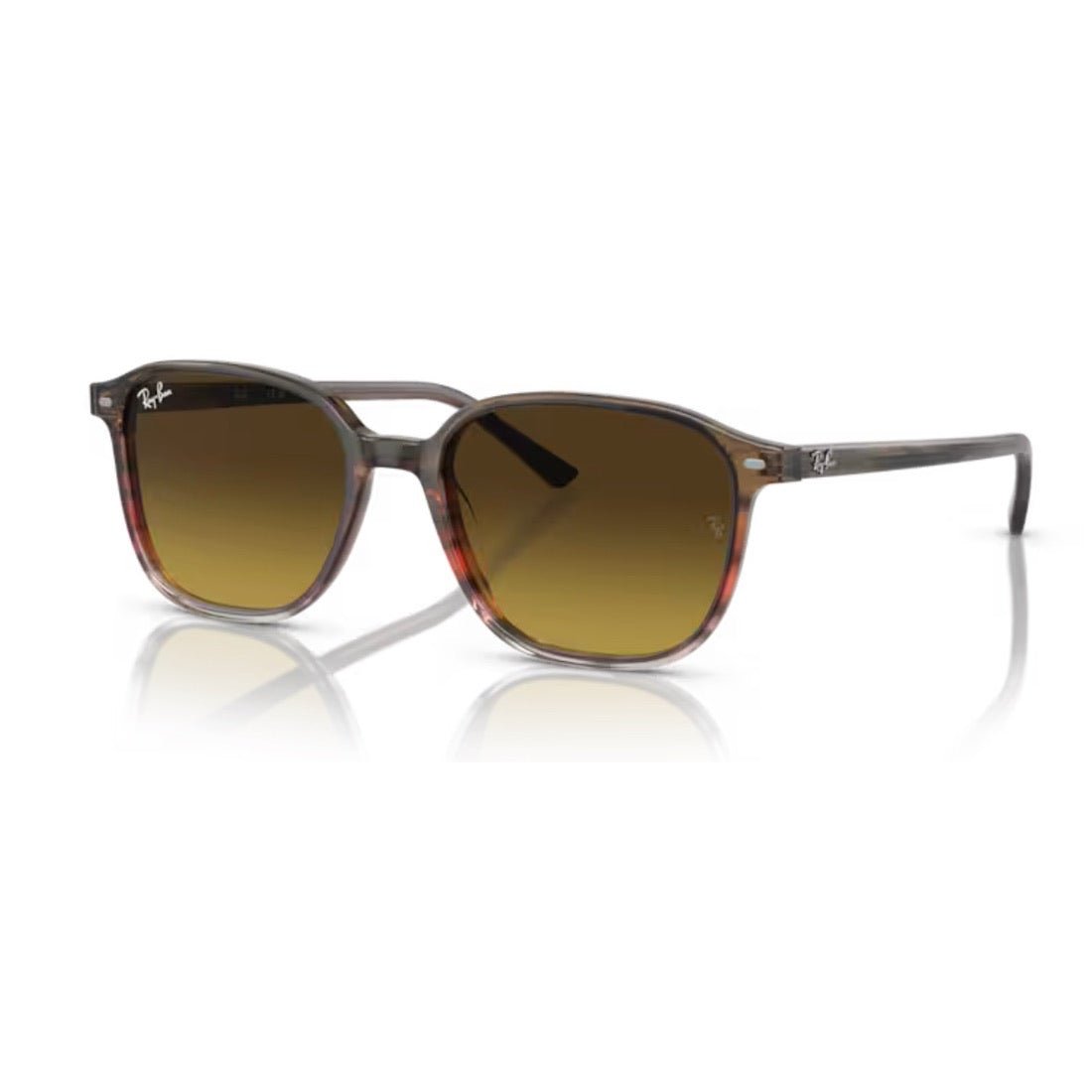 RAY - BAN - RB2193 - Leonard 138085 - PARIS LUNETIER