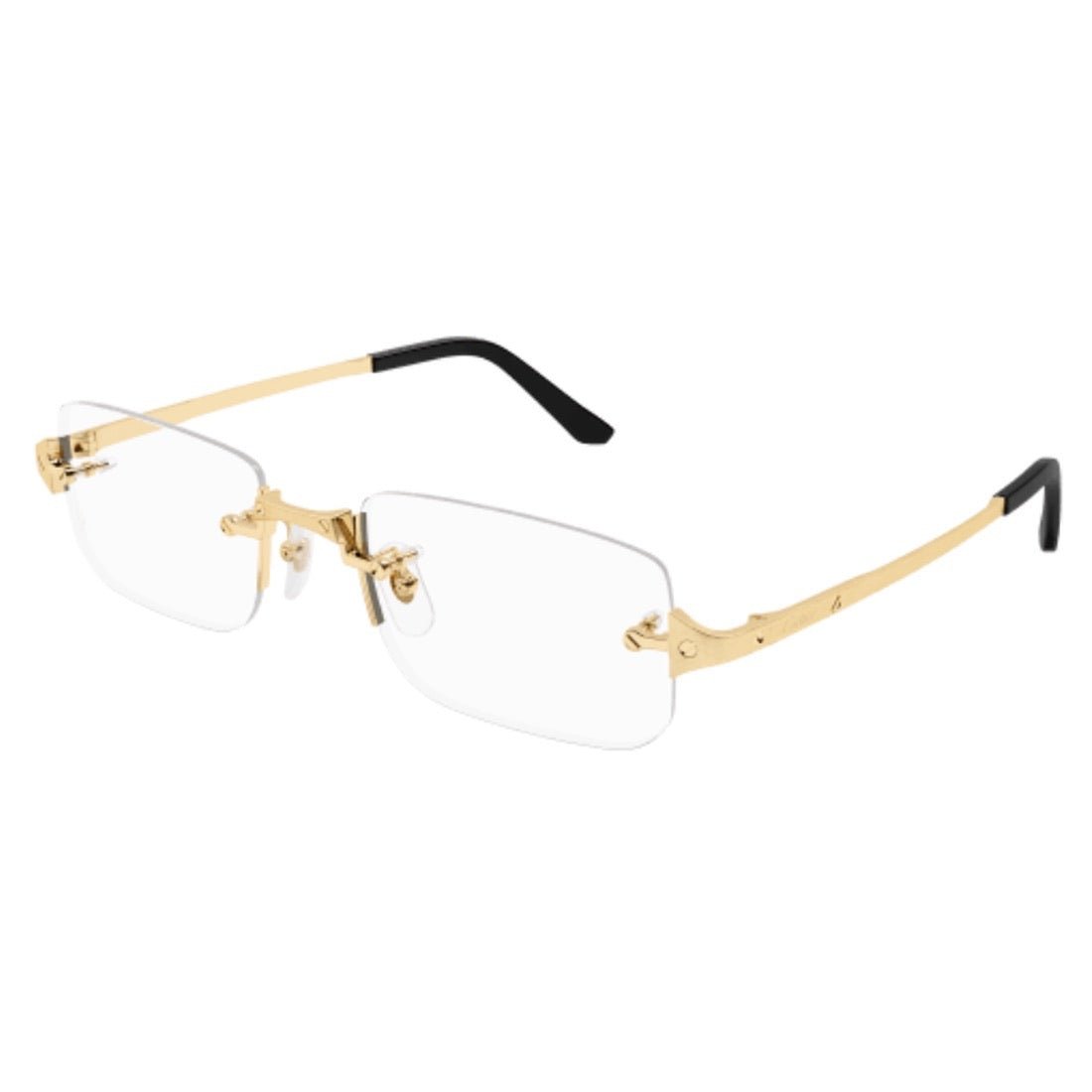 CARTIER - CT0479O-001 - PARIS LUNETIER