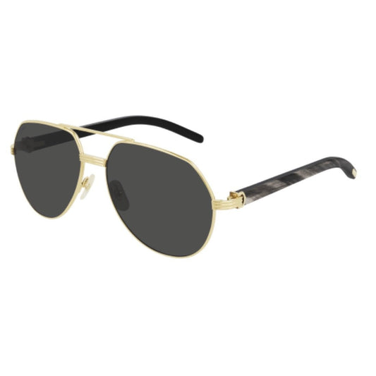 CARTIER - CT0272S - 001 - PARIS LUNETIER