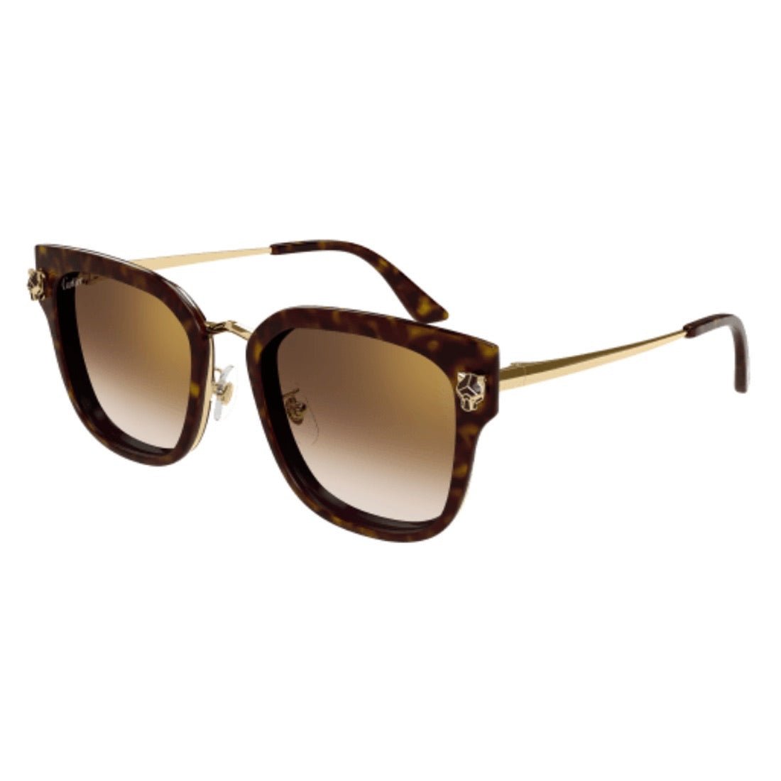 Cartier CT0509SA-002 Sunglasses Havana Acetate Square Cartier CT0539S 002 Sunglasses - US main image 3