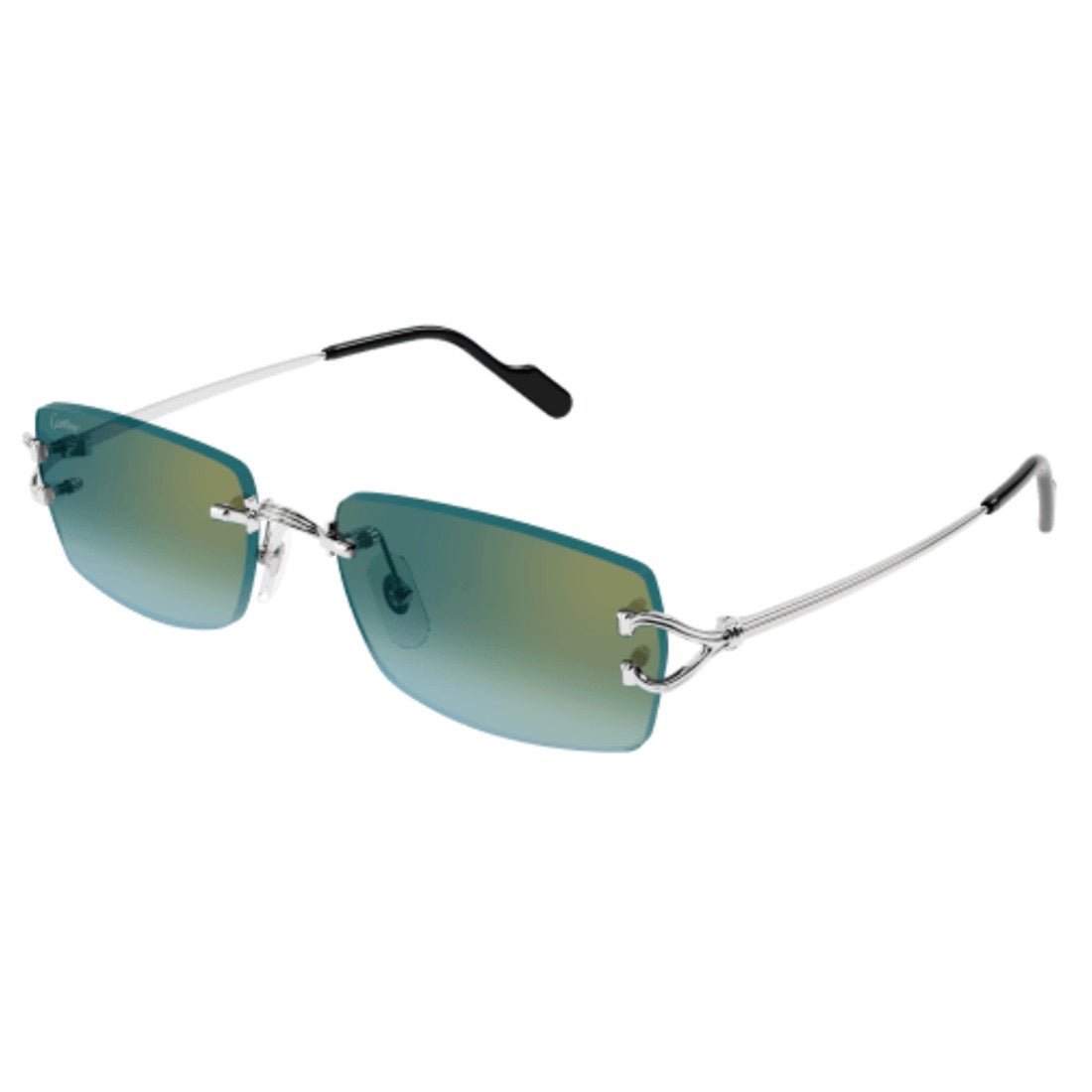 CARTIER - CT0550S-004 display picture 1