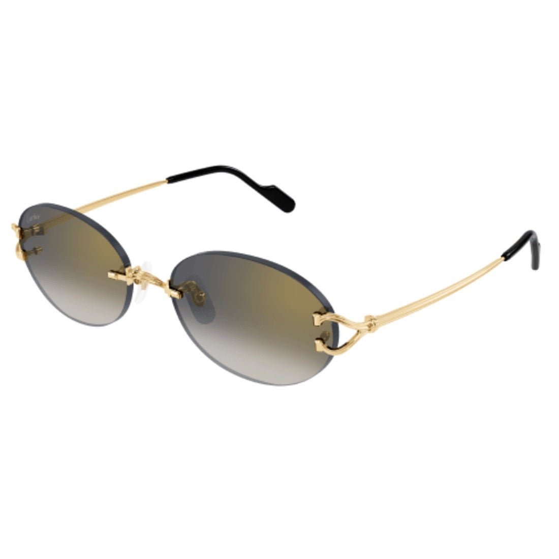 CARTIER - CT0551S-001
