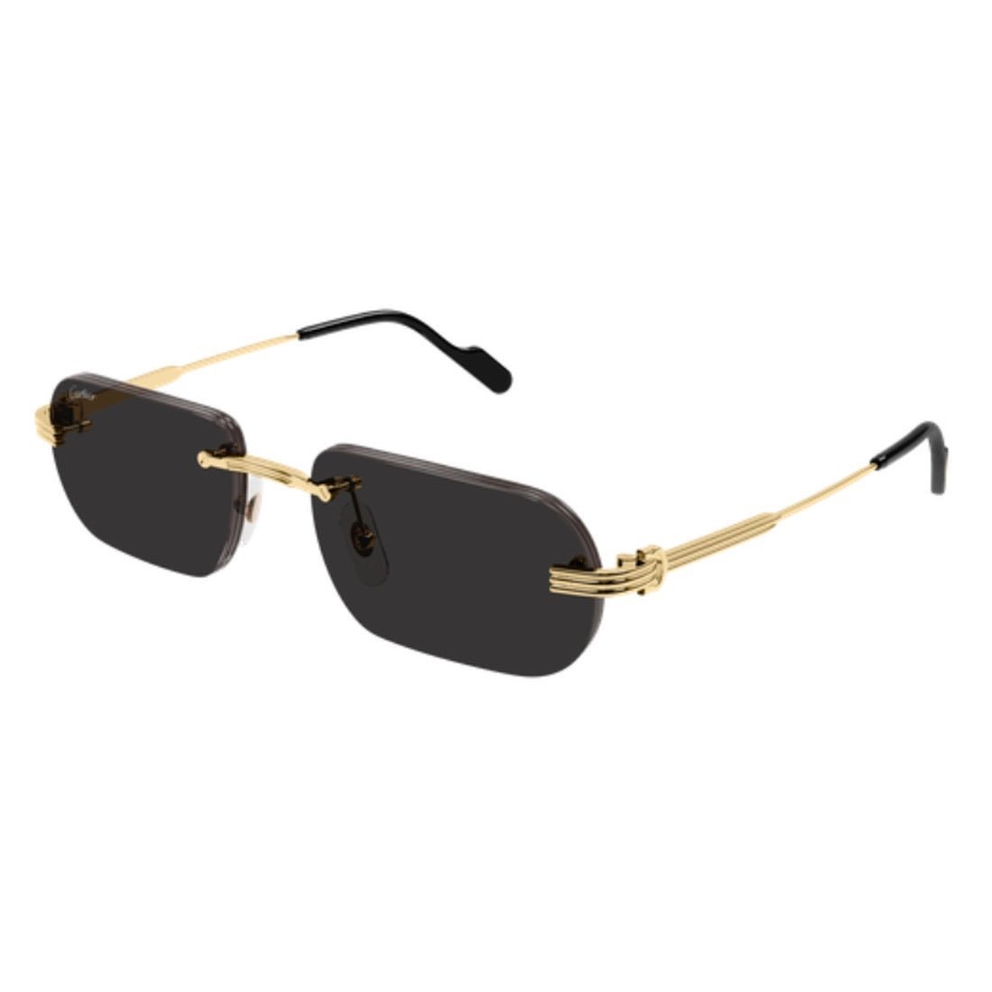 CARTIER - CT0577S-001