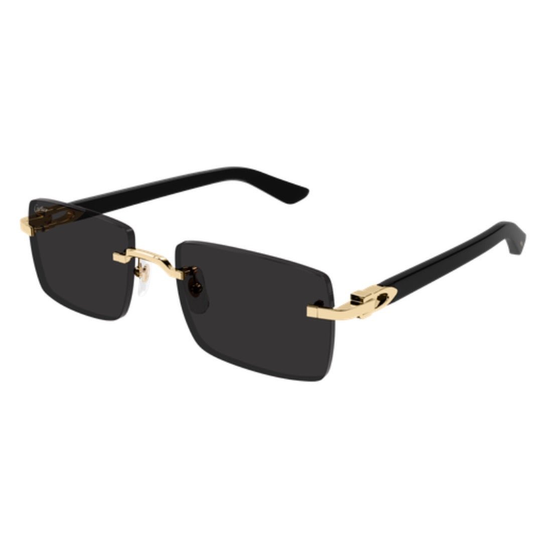 CARTIER - CT0579S - 001 - PARIS LUNETIER