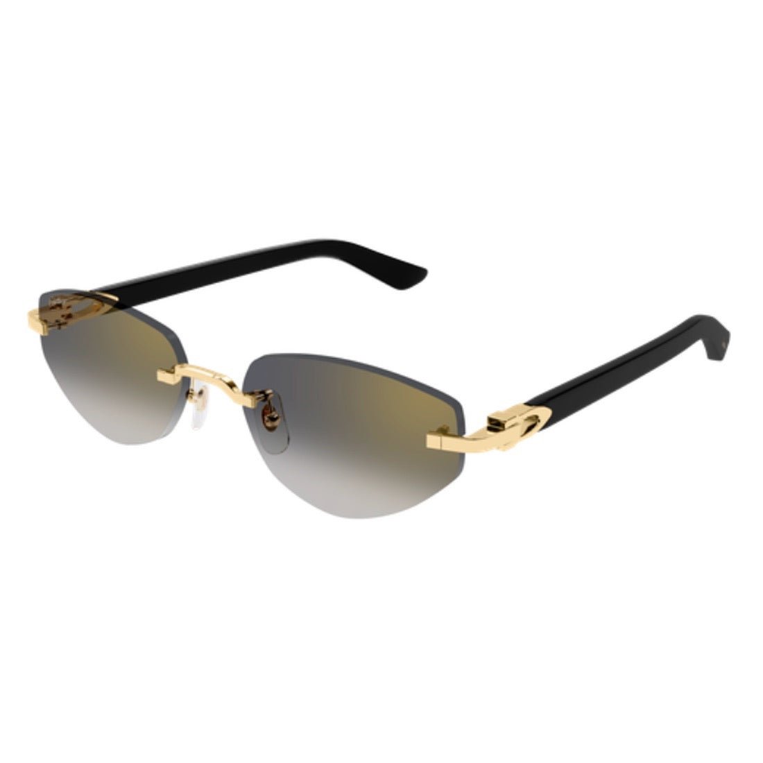 CARTIER - CT0580S - 001 - PARIS LUNETIER