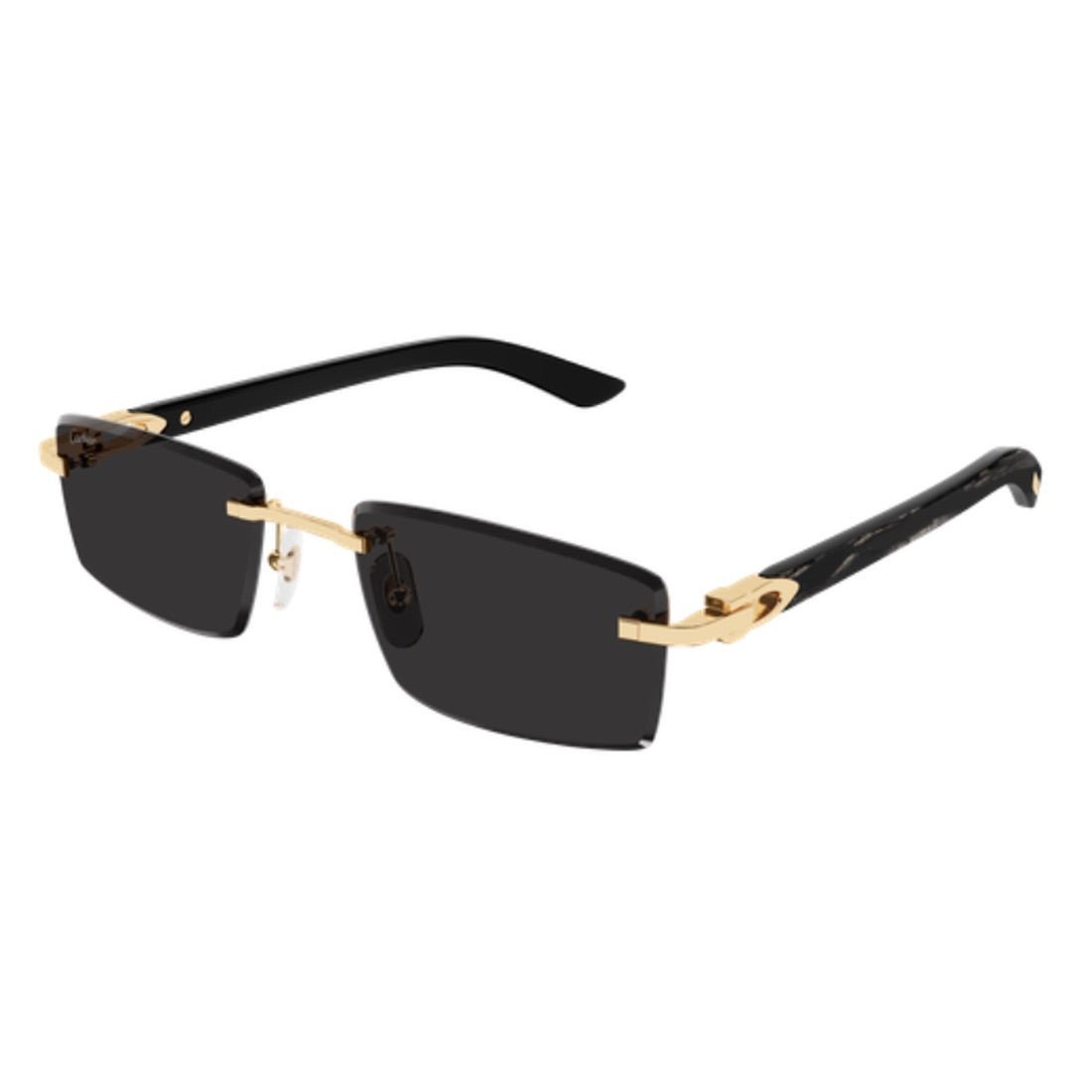 CARTIER - CT0582S - 001 - PARIS LUNETIER