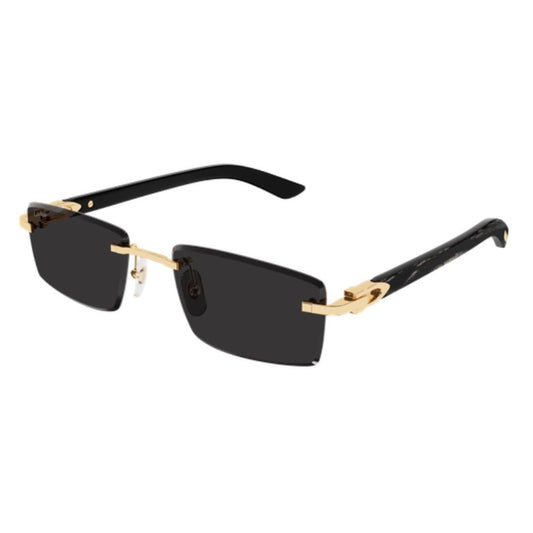 CARTIER - CT0582S - 001 - PARIS LUNETIER