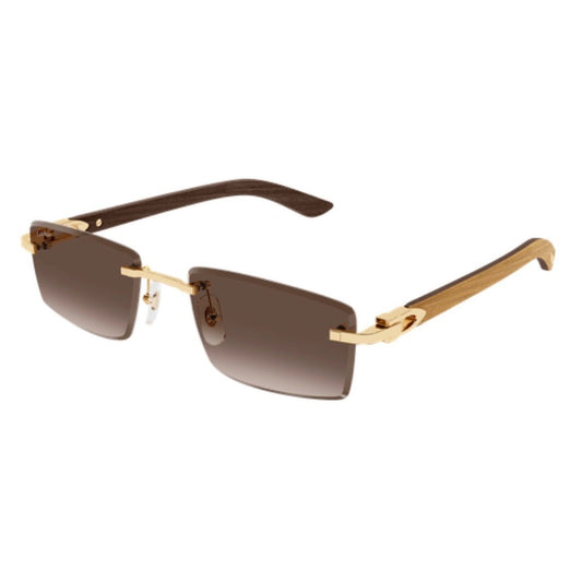 CARTIER - CT0582S - 003 - PARIS LUNETIER