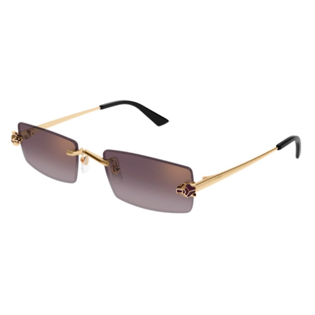 CARTIER - CT0598S-005