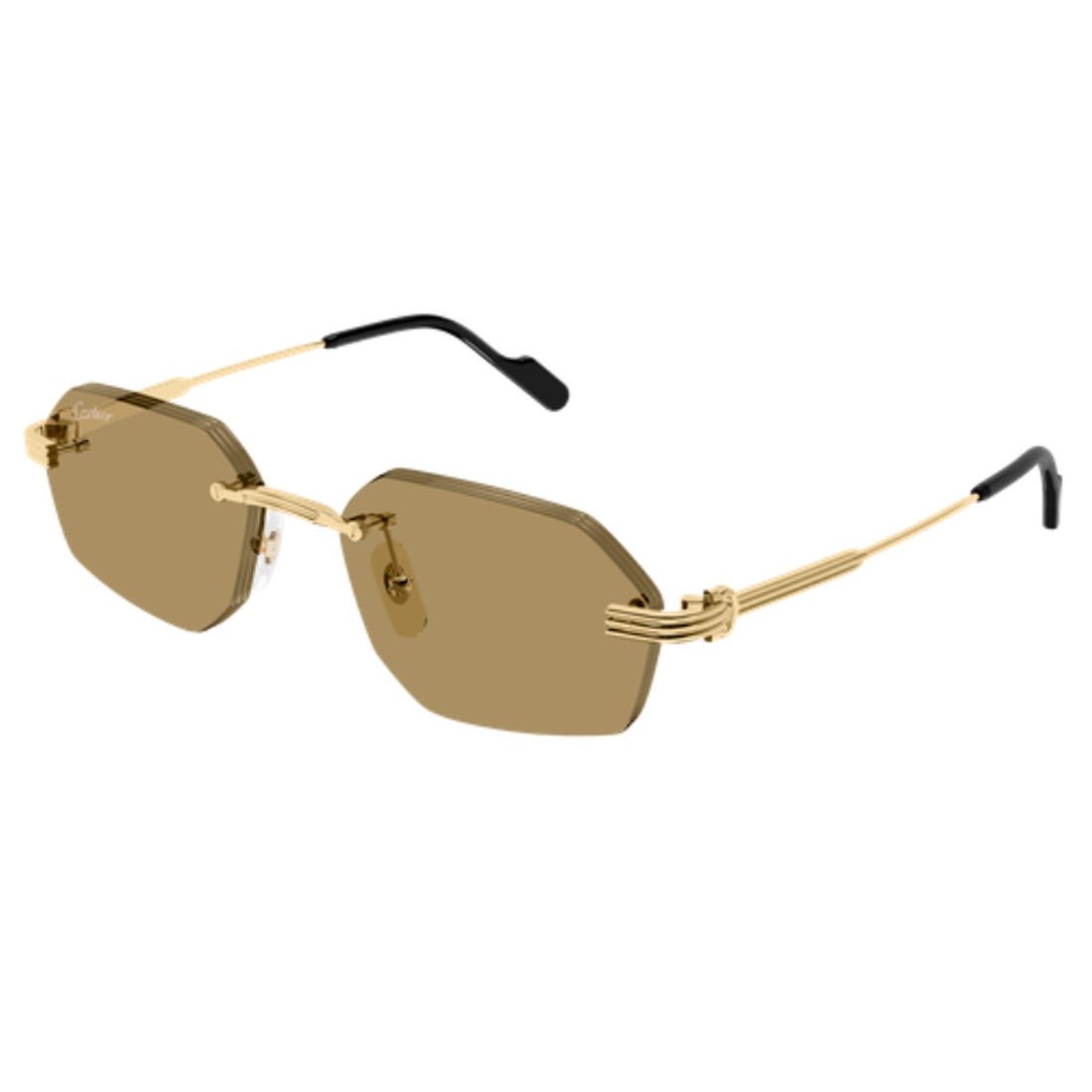 CARTIER - CT0616S - 002 - PARIS LUNETIER