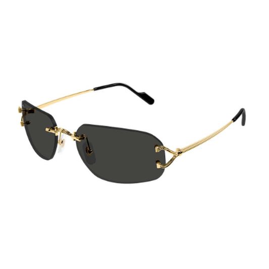 CARTIER - CT0663S-001 - PARIS LUNETIER