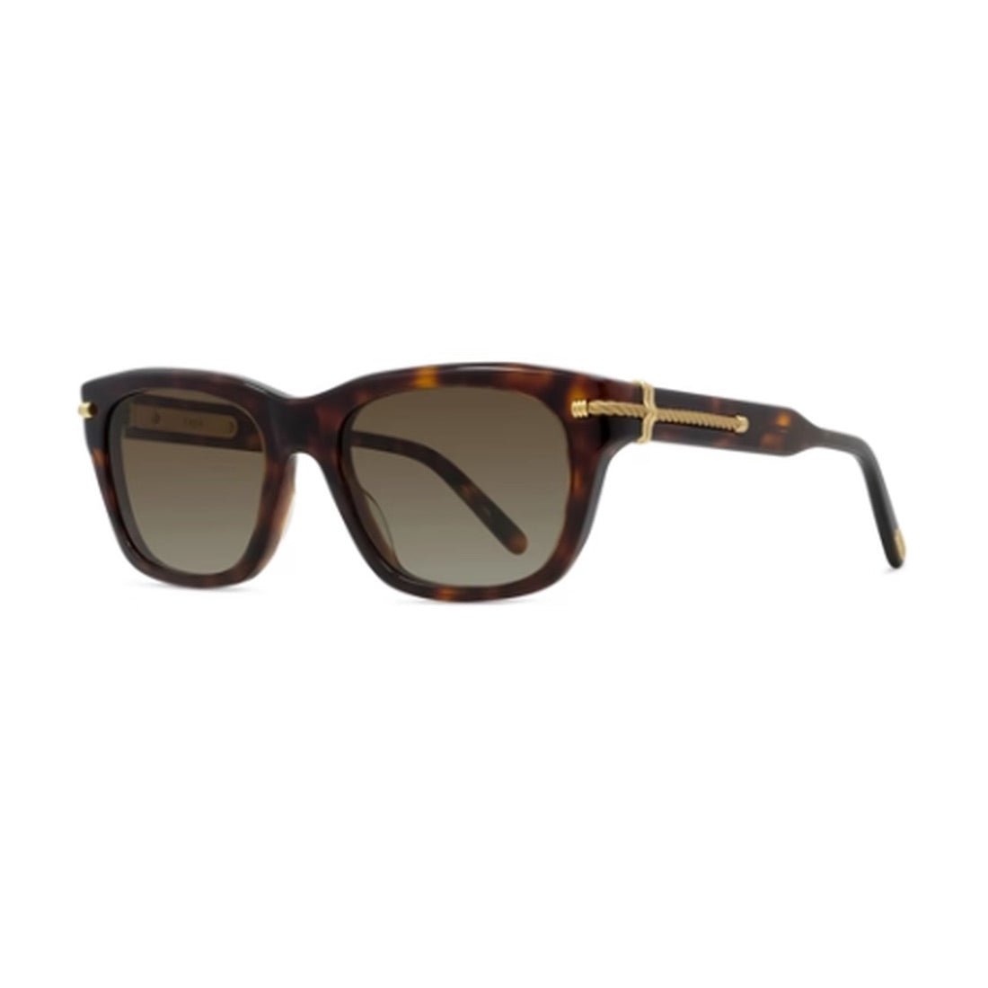 FRED - ACETATE CABLE FG40077I 54F - PARIS LUNETIER
