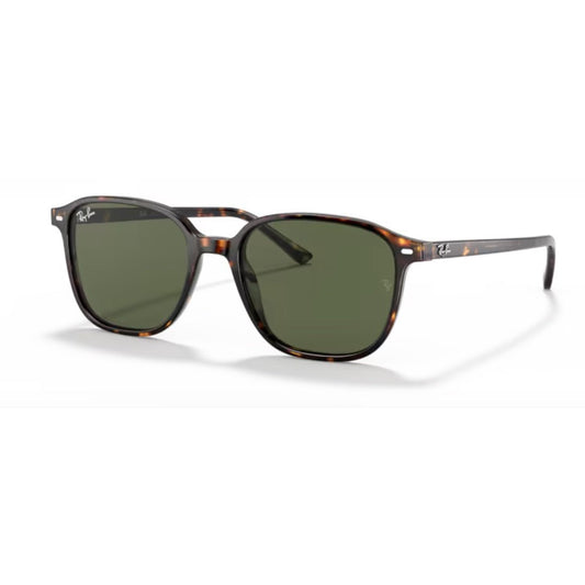 RAY - BAN - RB2193 - Leonard 902/31 - PARIS LUNETIER