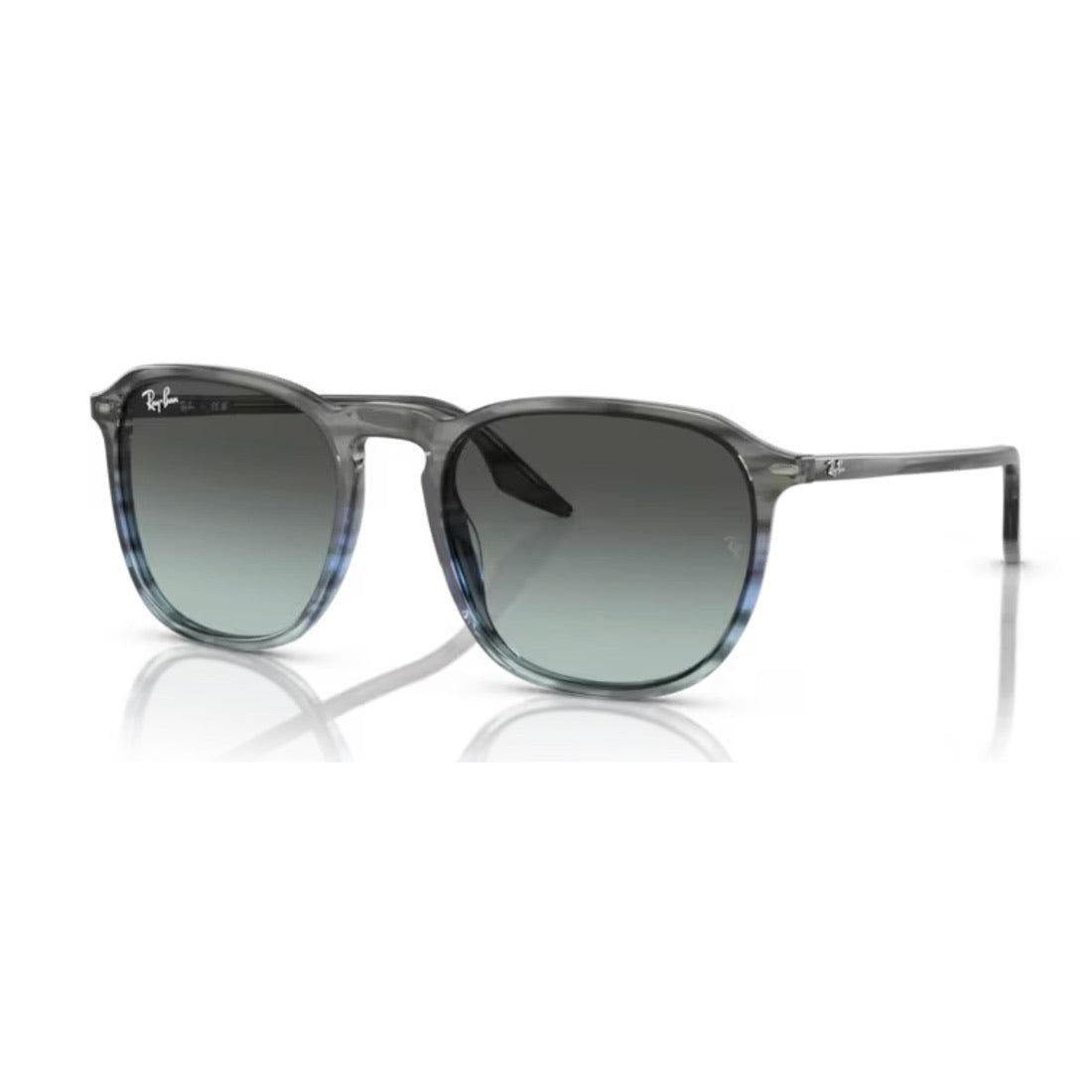 RAY - BAN - RB2203 1391GK - PARIS LUNETIER