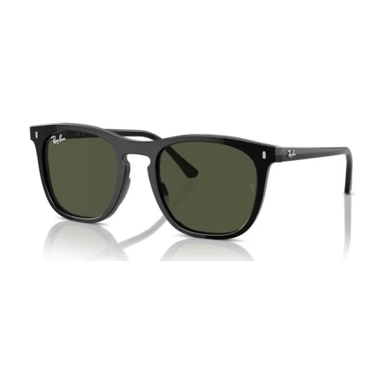 RAY - BAN - RB2210 901/31 - PARIS LUNETIER
