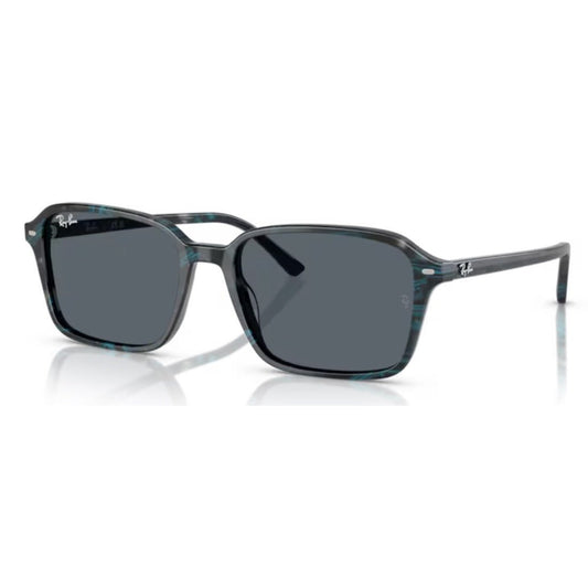 RAY - BAN - RB2231 - Raimond 1417R5 - PARIS LUNETIER