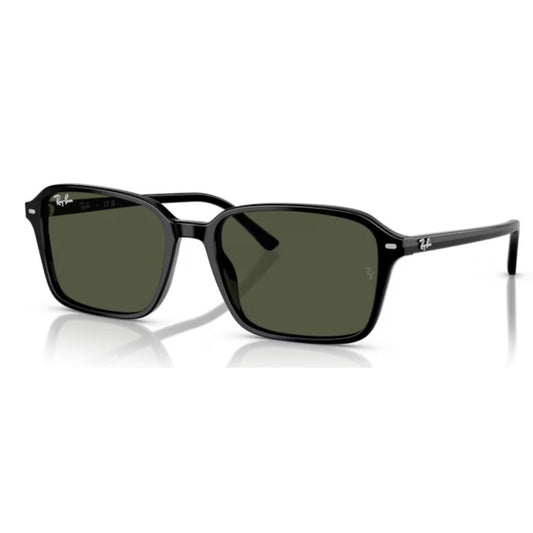RAY - BAN - RB2231 - Raimond 901/31 - PARIS LUNETIER
