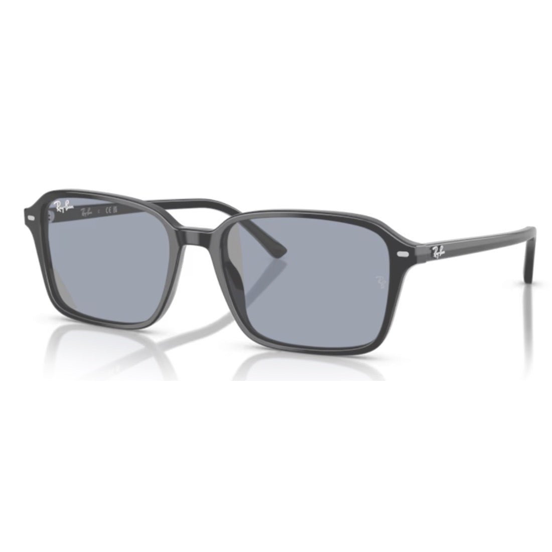 RAY - BAN - RB2231 - Raimond 901/GG - PARIS LUNETIER