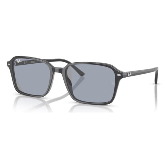 RAY - BAN - RB2231 - Raimond 901/GG - PARIS LUNETIER