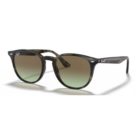 RAY - BAN - RB4259 731/E8 - PARIS LUNETIER