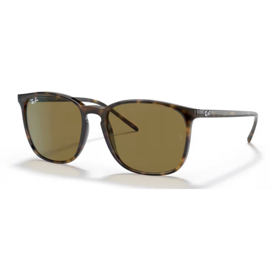 RAY - BAN - RB4387 710/73 - PARIS LUNETIER