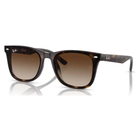 RAY - BAN - RB4420 710/13 - PARIS LUNETIER