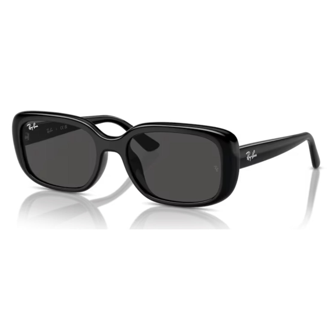RAY - BAN - RB4421D 667787 - PARIS LUNETIER