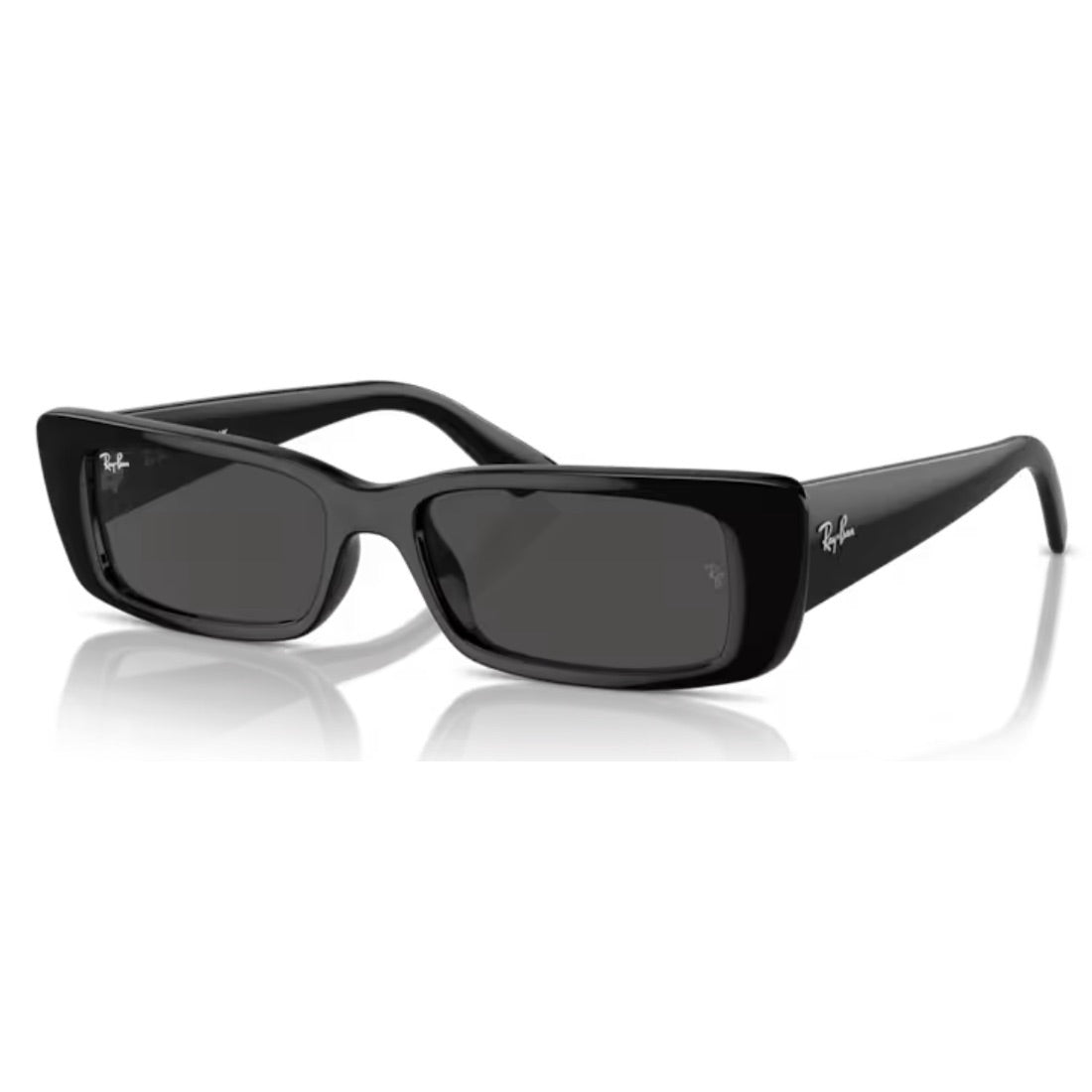 RAY - BAN - RB4425 - Teru 667787 - PARIS LUNETIER