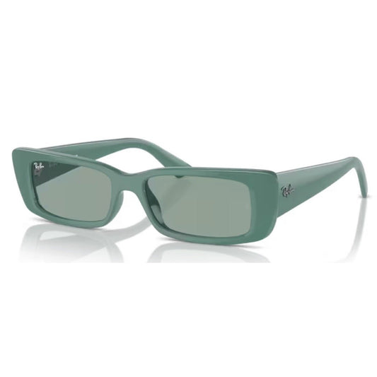 RAY - BAN - RB4425 - Teru 676282 - PARIS LUNETIER