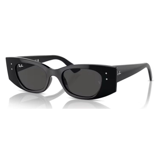 RAY - BAN - RB4427 - Kat 667787 - PARIS LUNETIER