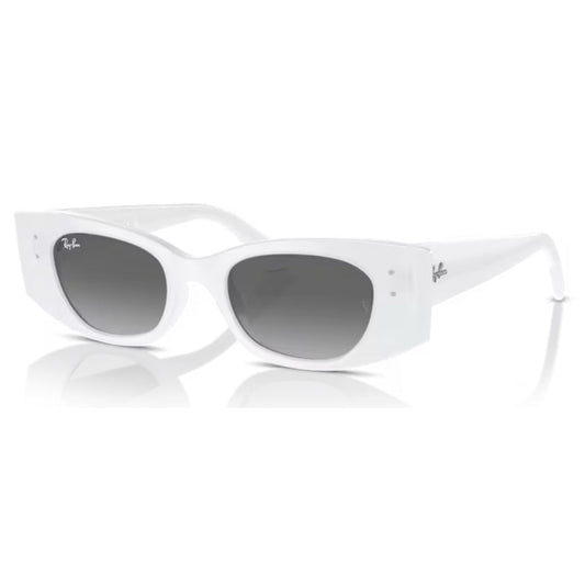 RAY - BAN - RB4427 - Kat 675911 - PARIS LUNETIER