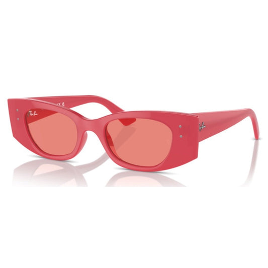 RAY - BAN - RB4427 - Kat 676084 - PARIS LUNETIER