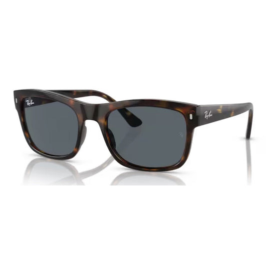 RAY - BAN - RB4428 710/R5 - PARIS LUNETIER