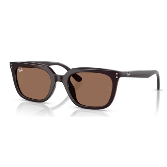 RAY - BAN - RB4439D 623173 - PARIS LUNETIER