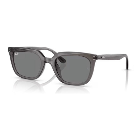 RAY - BAN - RB4439D 667587 - PARIS LUNETIER
