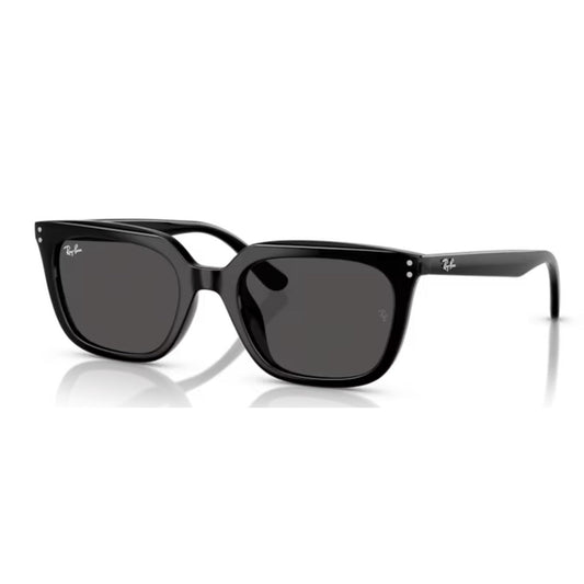 RAY - BAN - RB4439D 901/87 - PARIS LUNETIER