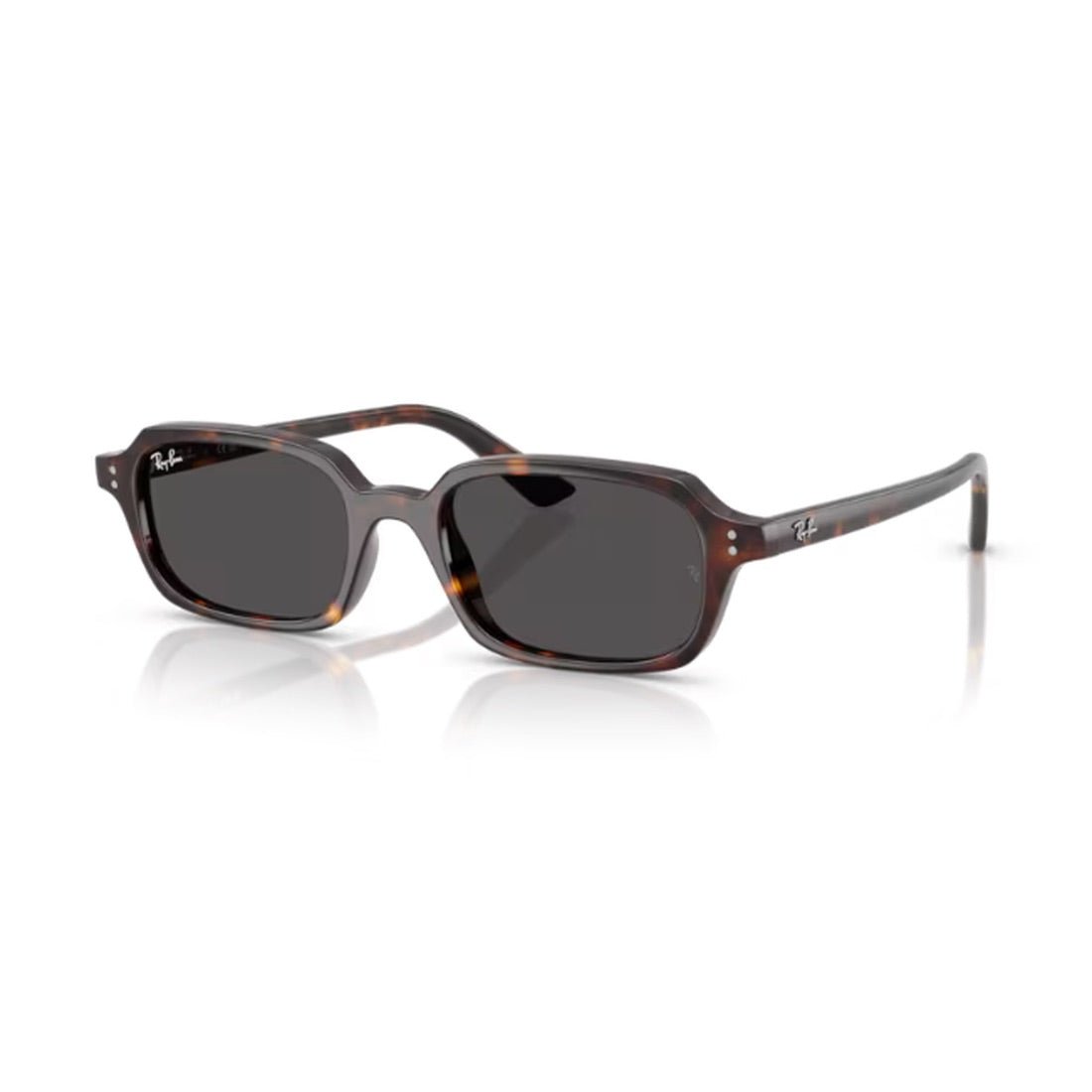 RAY-BAN - RB4455 135987 - PARIS LUNETIER