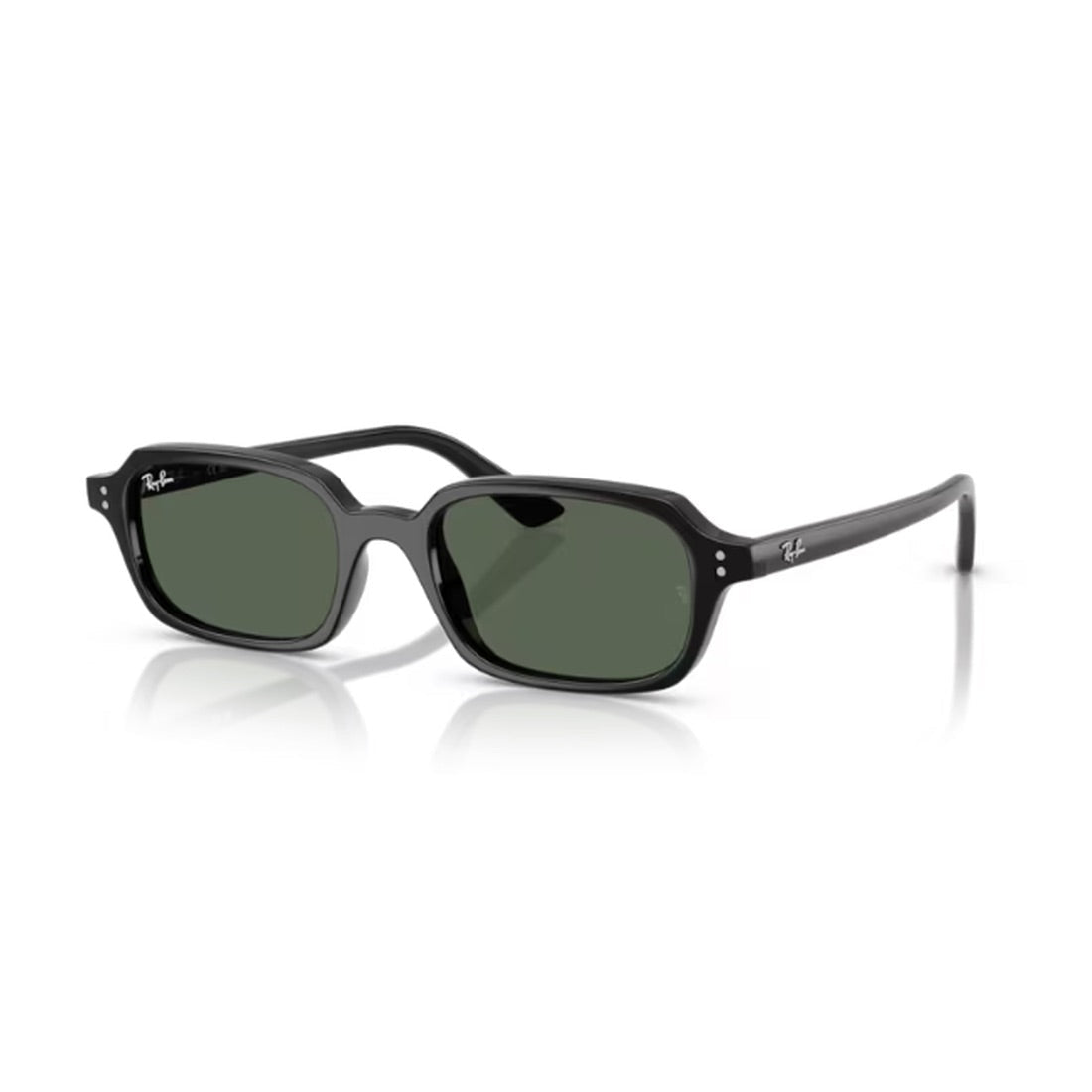 RAY-BAN - RB4455 667771 - PARIS LUNETIER