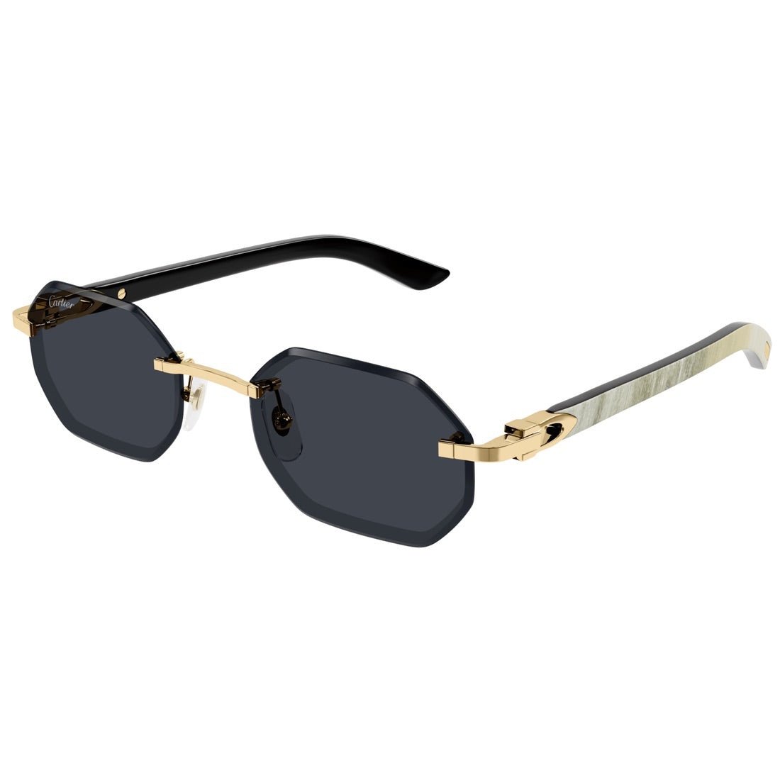 cartier goggles CARTIER